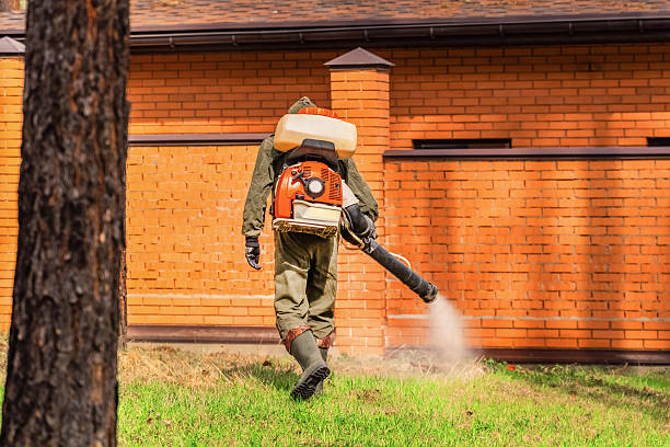 Trusted Bed Bug Control service in Dahlonega, GA - Nex Pest Control